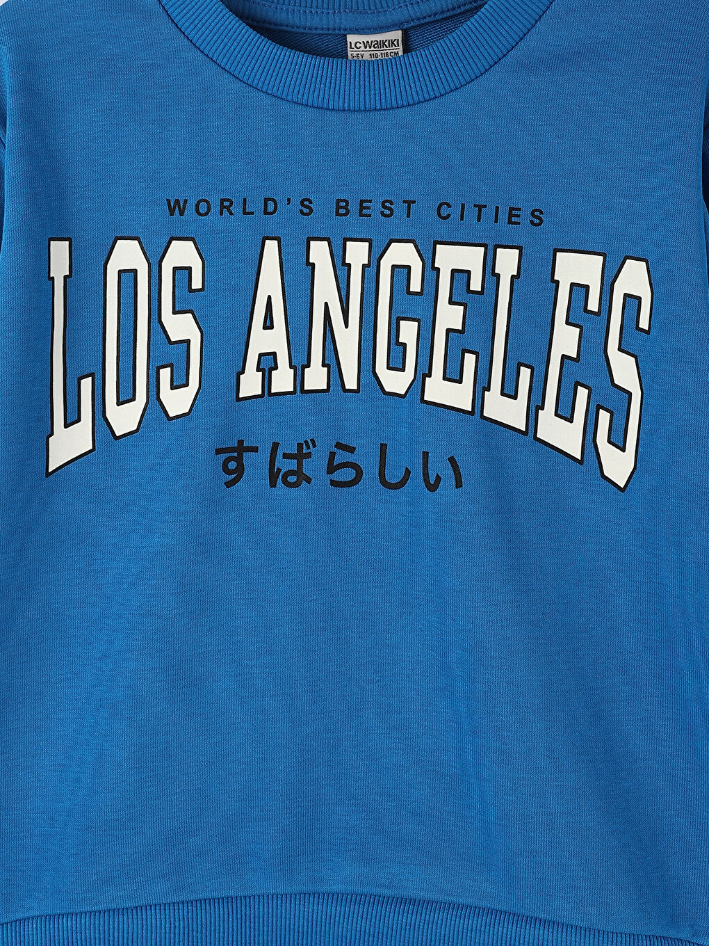 Crew Neck Printed Long Sleeve Boys' Sweatshirt -W3G927Z4-H9U