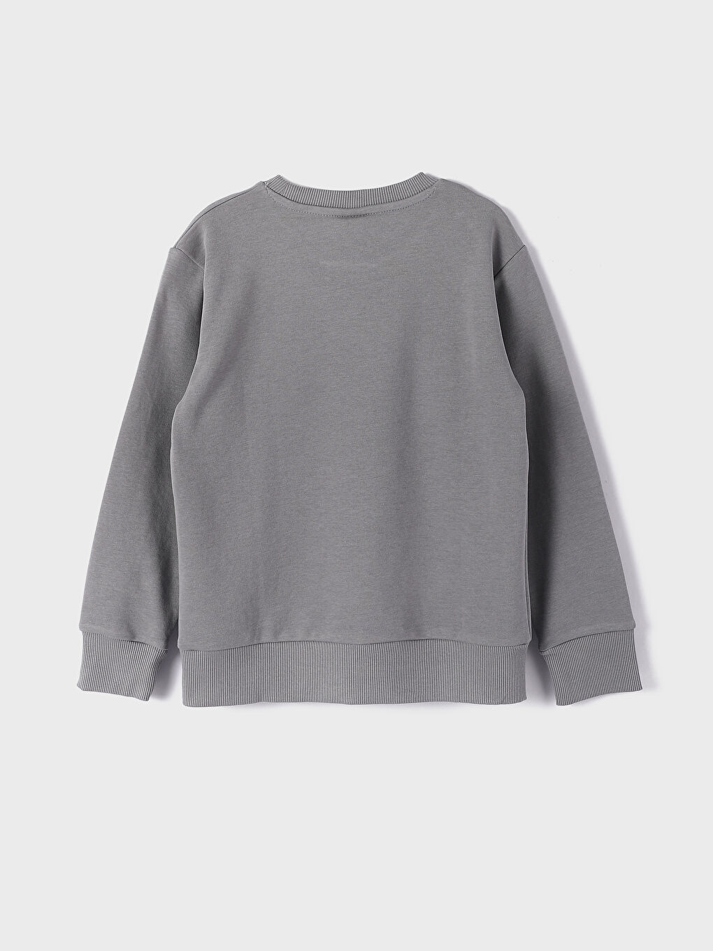 Crew Neck Printed Long Sleeve Boys' T-Shirt-1