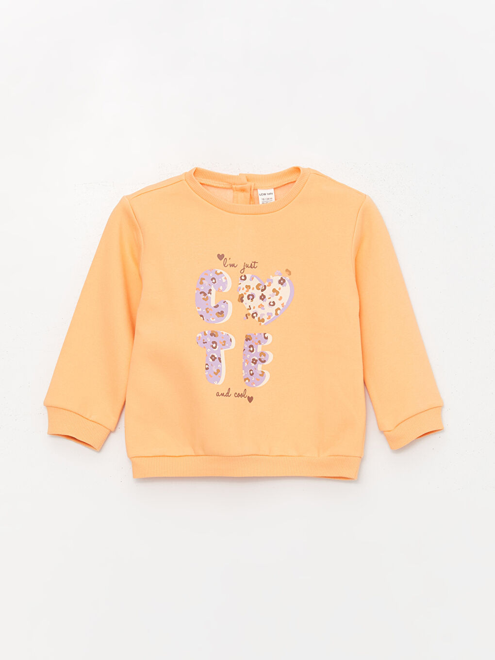 Crew Neck Long Sleeve Baby Girls' Sweatshirt 2 Pack-1