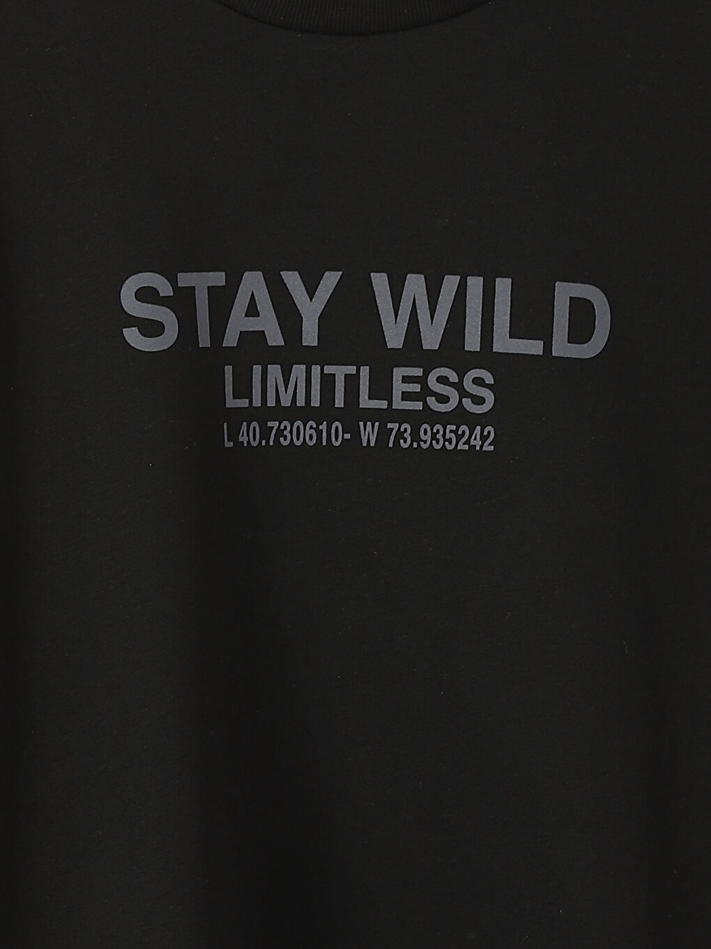 Crew Neck Printed Men's Thick Sweatshirt-1