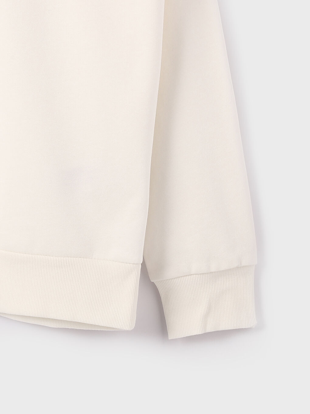 Crew Neck Printed Men's Thick Sweatshirt-1