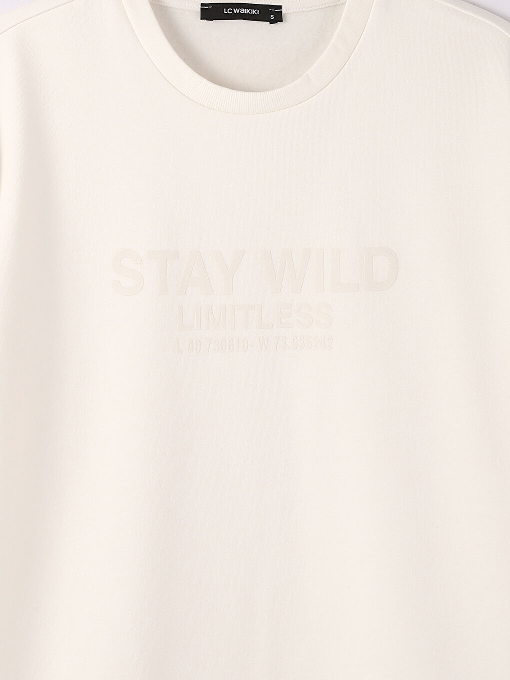 Crew Neck Printed Men's Thick Sweatshirt-2