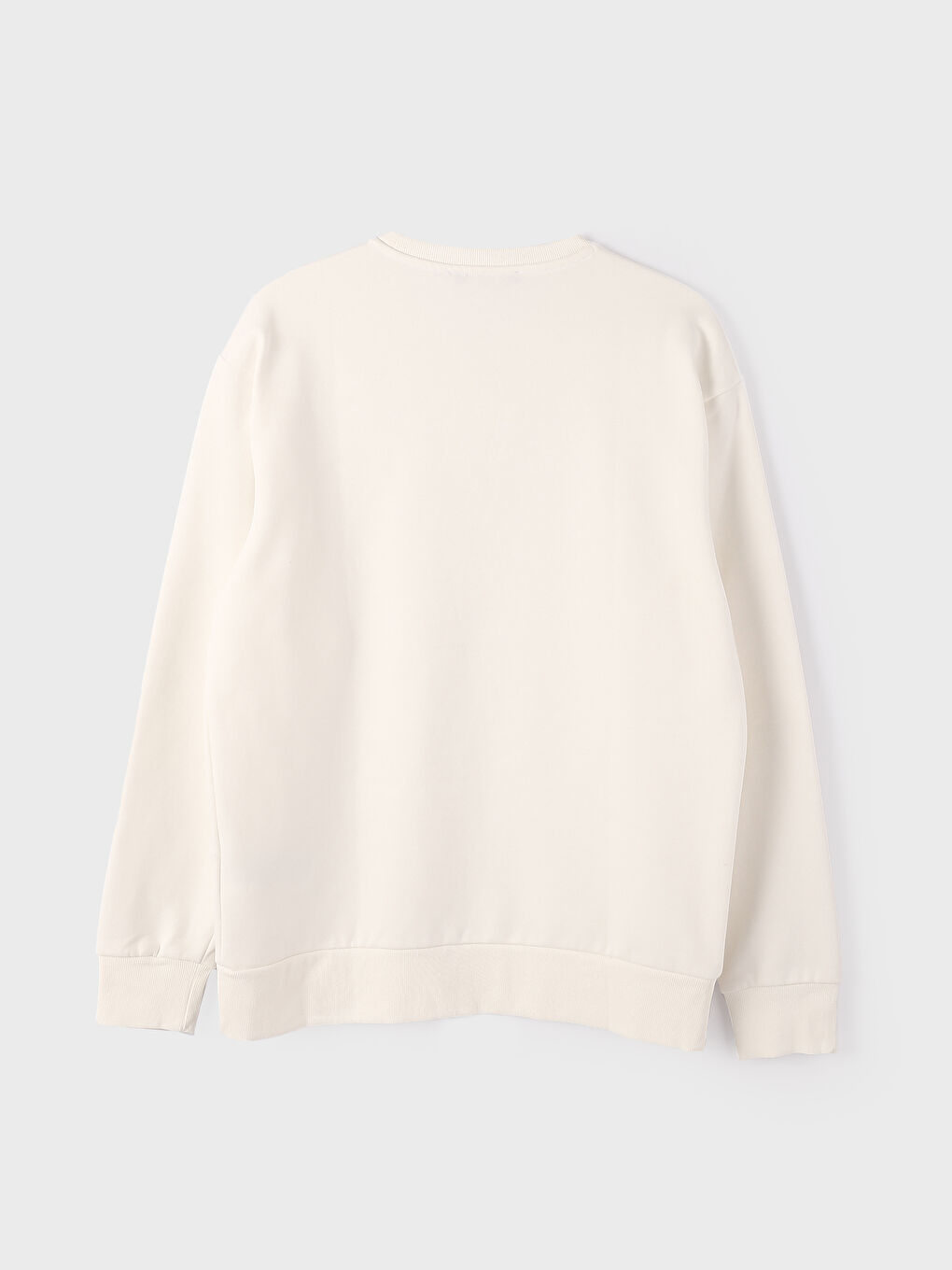 Crew Neck Printed Men's Thick Sweatshirt-3