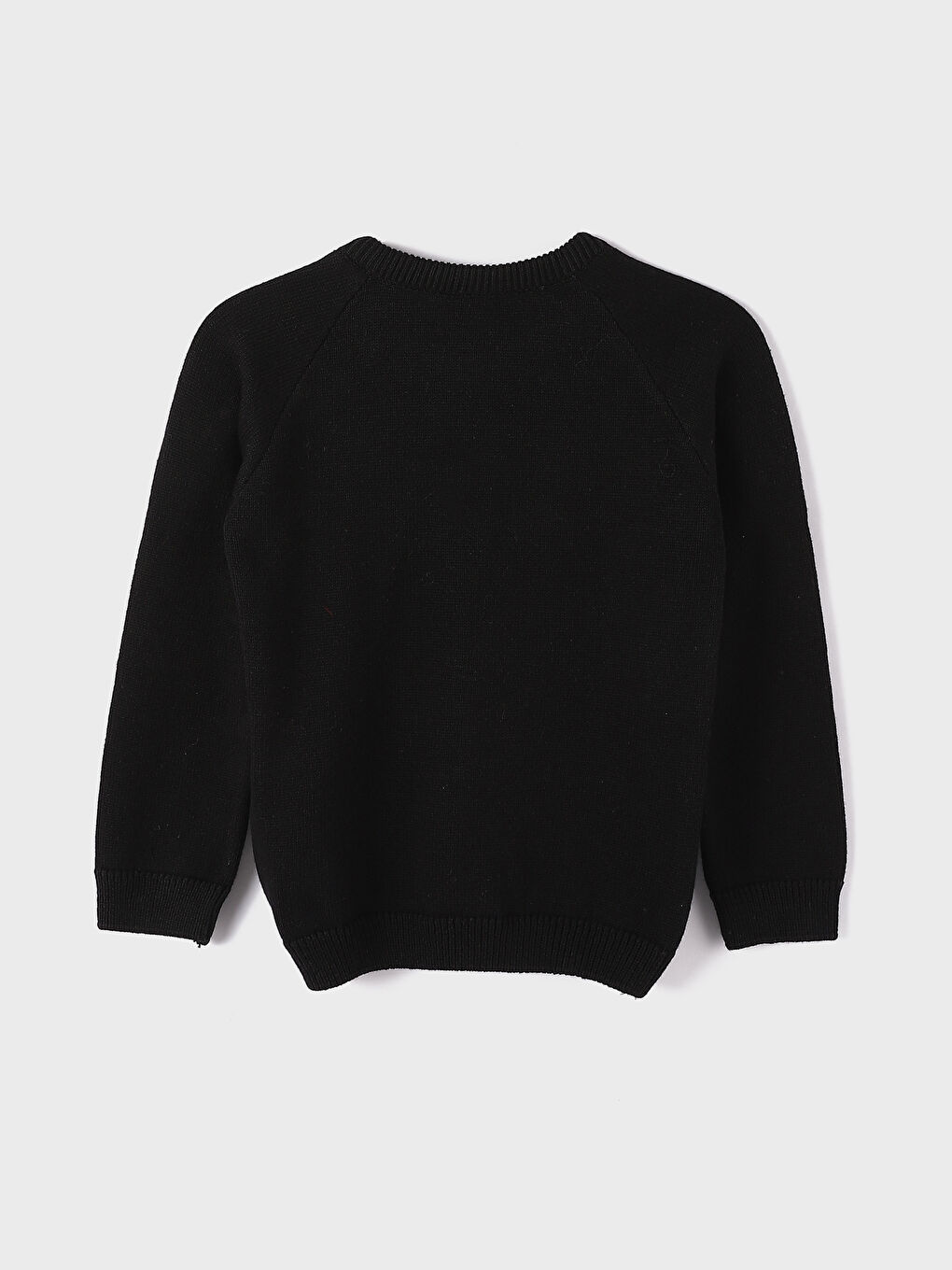 Crew Neck Long Sleeve Baby Boys' Knitwear Sweater-1