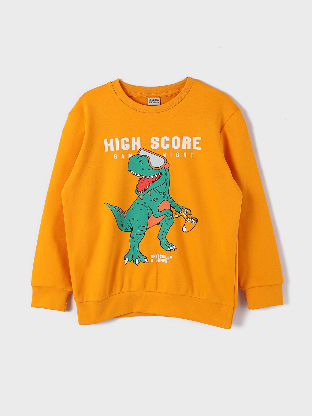 Crew Neck Printed Long Sleeve Boys' T-Shirt