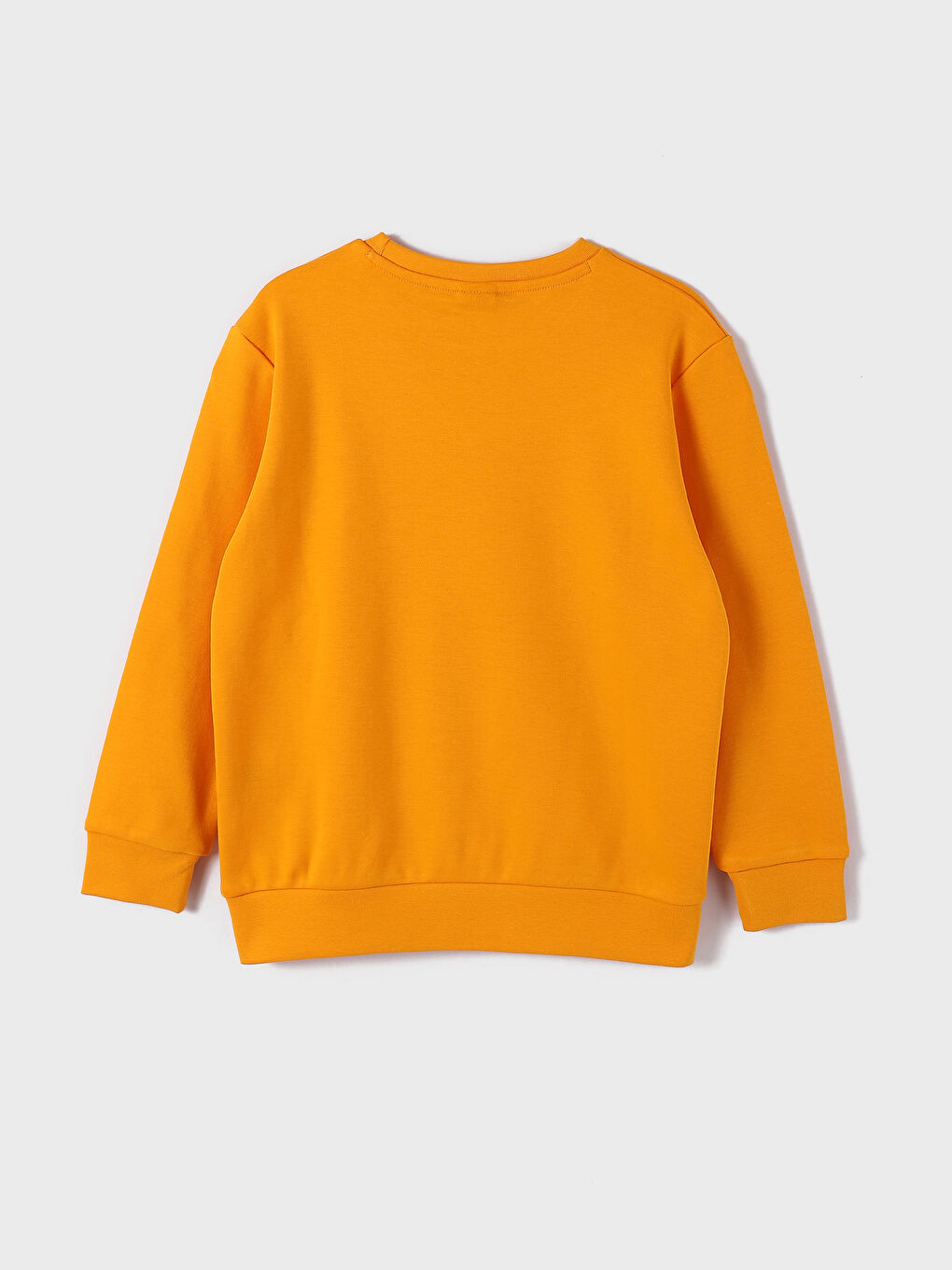 Crew Neck Printed Long Sleeve Boys' T-Shirt-1