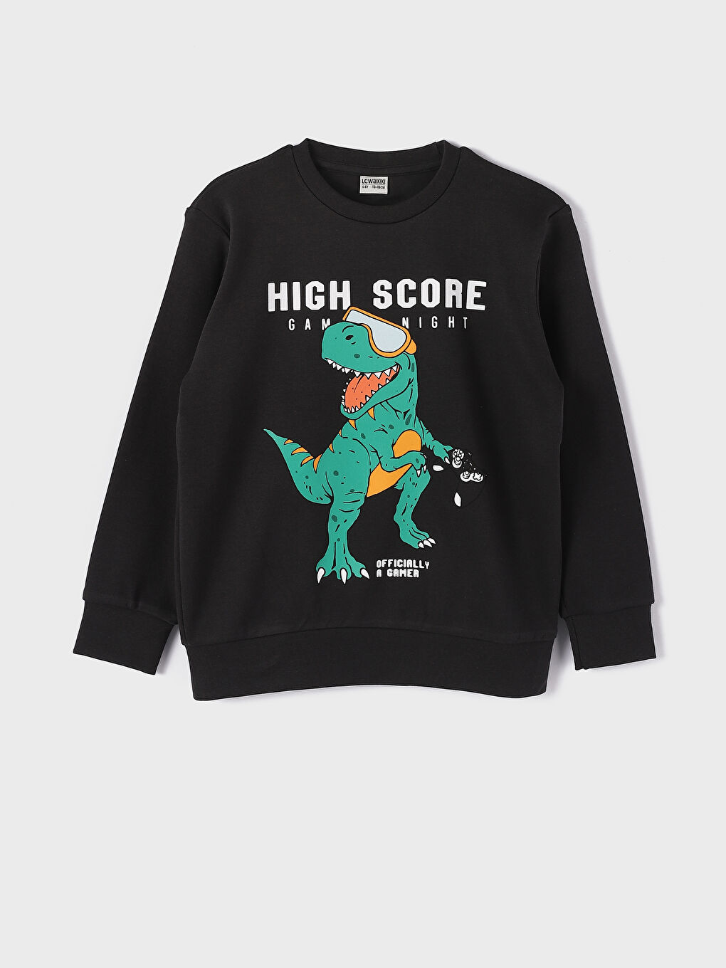 Crew Neck Printed Long Sleeve Boys' T-Shirt