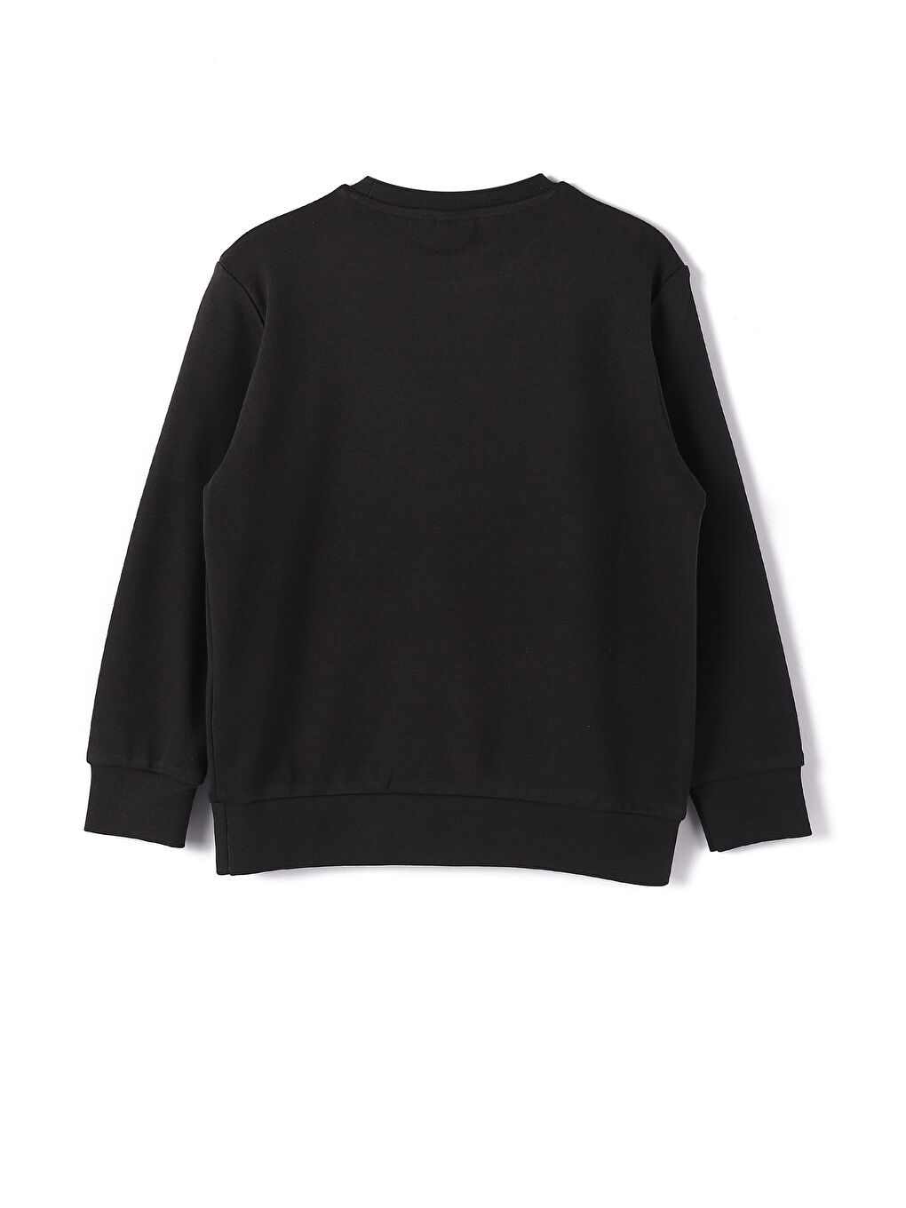 Crew Neck Printed Long Sleeve Boys' T-Shirt-1