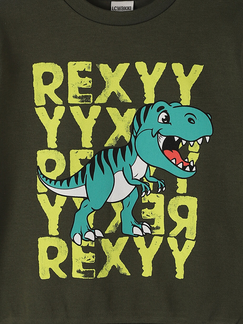 Crew Neck Printed Long Sleeve Boys' T-Shirt-2