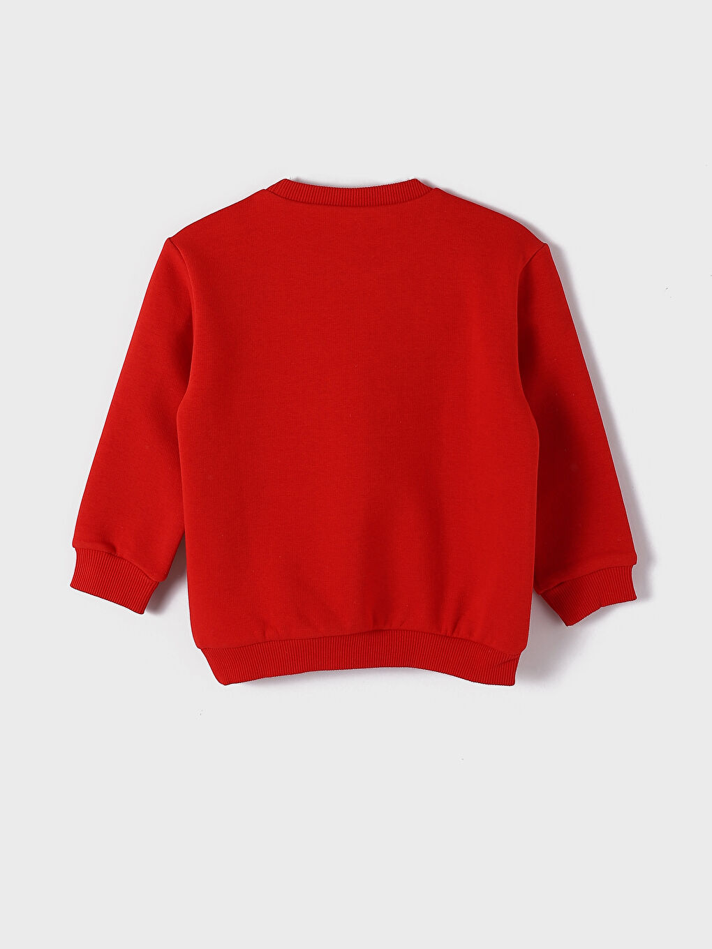 Crew Neck Printed Long Sleeve Baby Boys' Sweatshirt-1