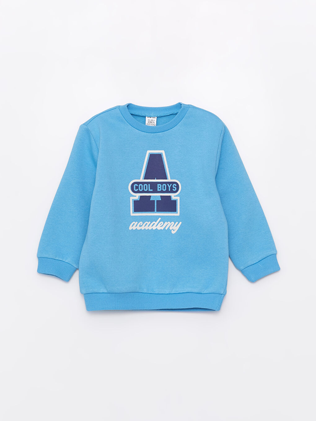 سويت شيرت ياقة دائرية كم طويل مطبوع أولاد رضع - مجموعة من 2-2