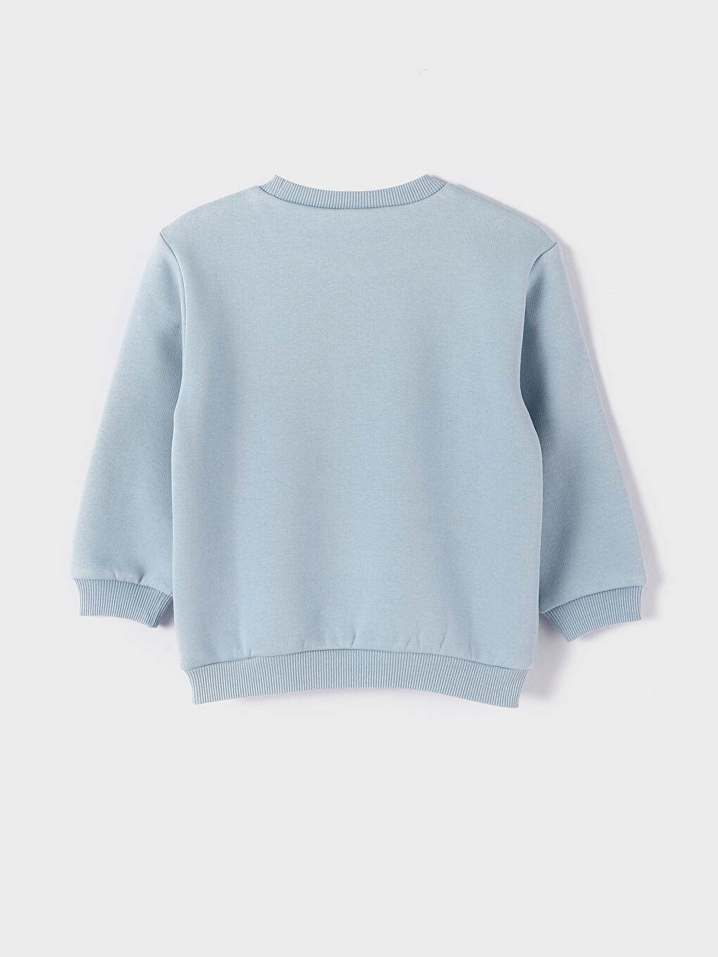 Crew Neck Printed Long Sleeve Baby Boys' Sweatshirt-1