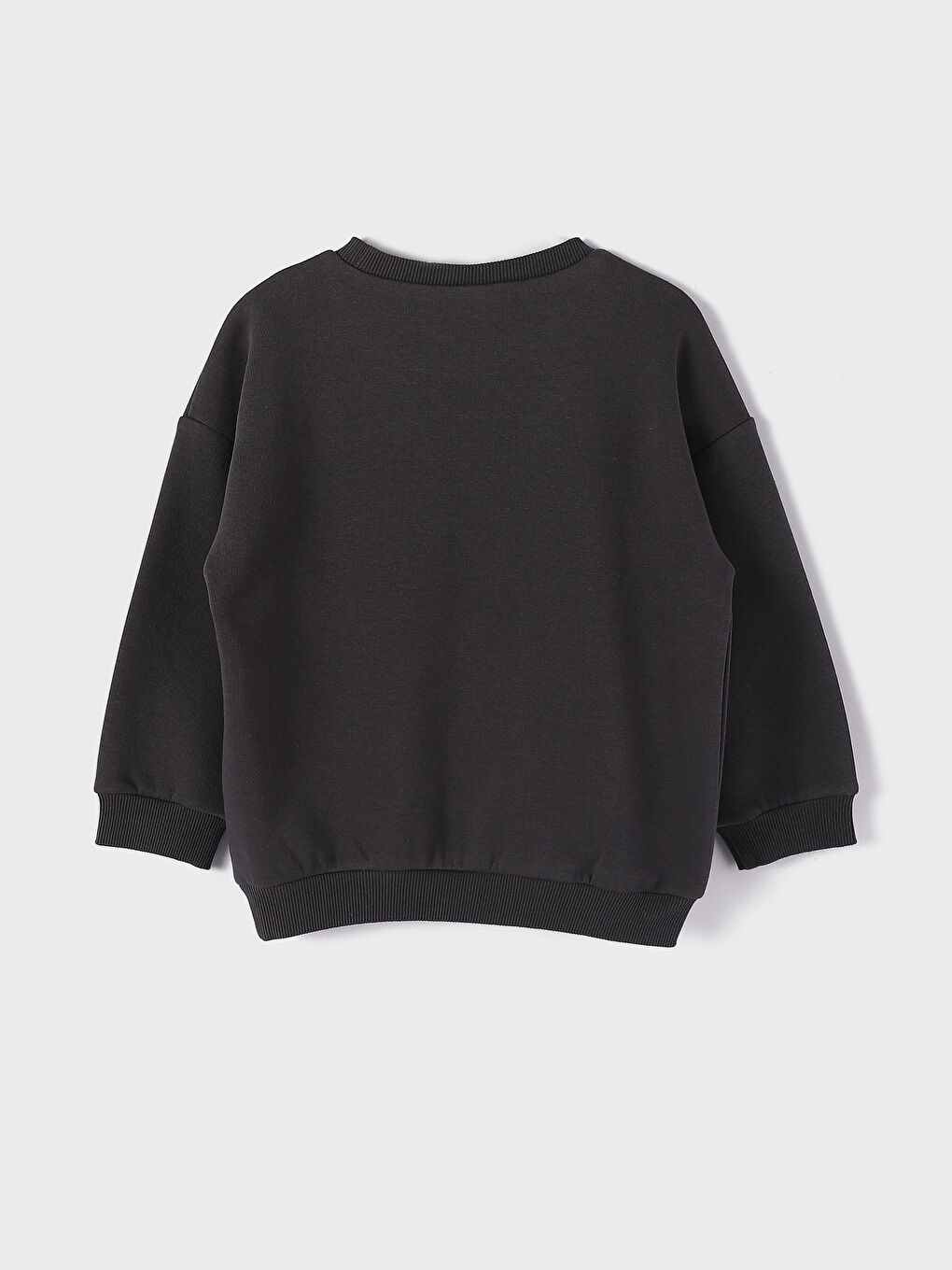 Crew Neck Long Sleeve Printed Baby Boy Sweatshirt 2-Pack-4