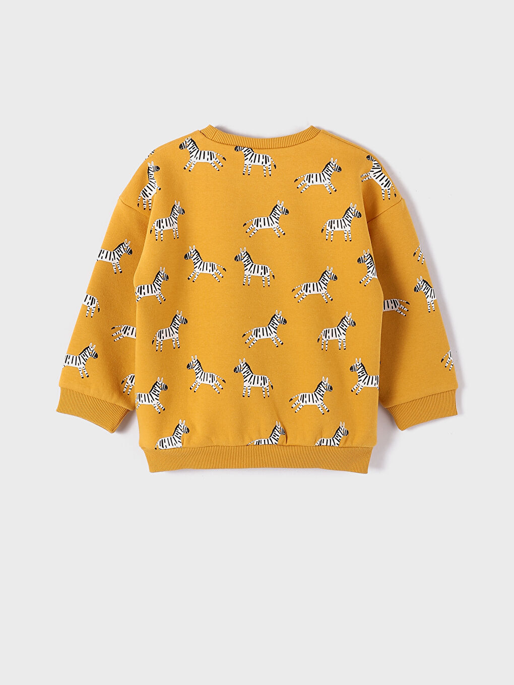 Crew Neck Long Sleeve Printed Baby Boy Sweatshirt 2-Pack-2