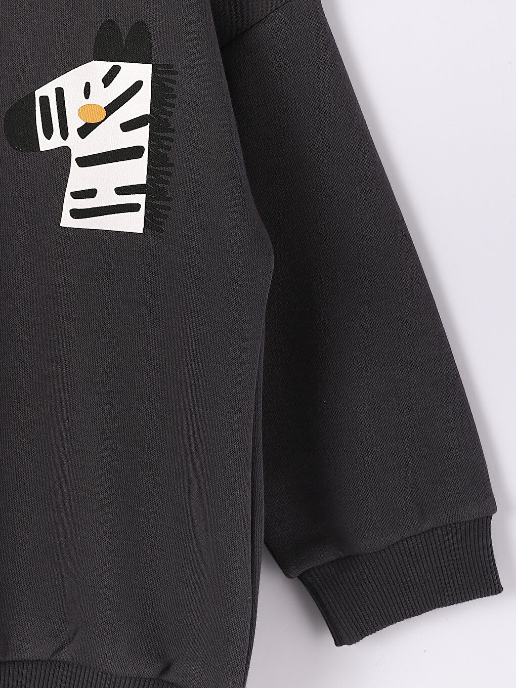 Crew Neck Long Sleeve Printed Baby Boy Sweatshirt 2-Pack-7