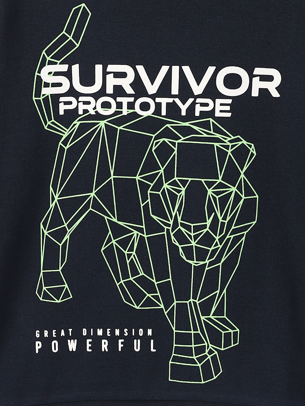 Crew Neck Printed Long Sleeve Boys' T-Shirt-2