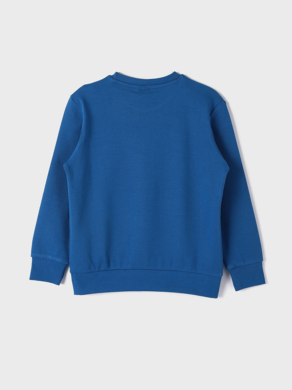 Crew Neck Printed Long Sleeve Boys' T-Shirt-1