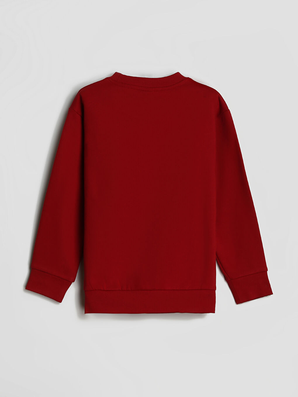 Crew Neck Printed Long Sleeve Boys' Sweatshirt-1