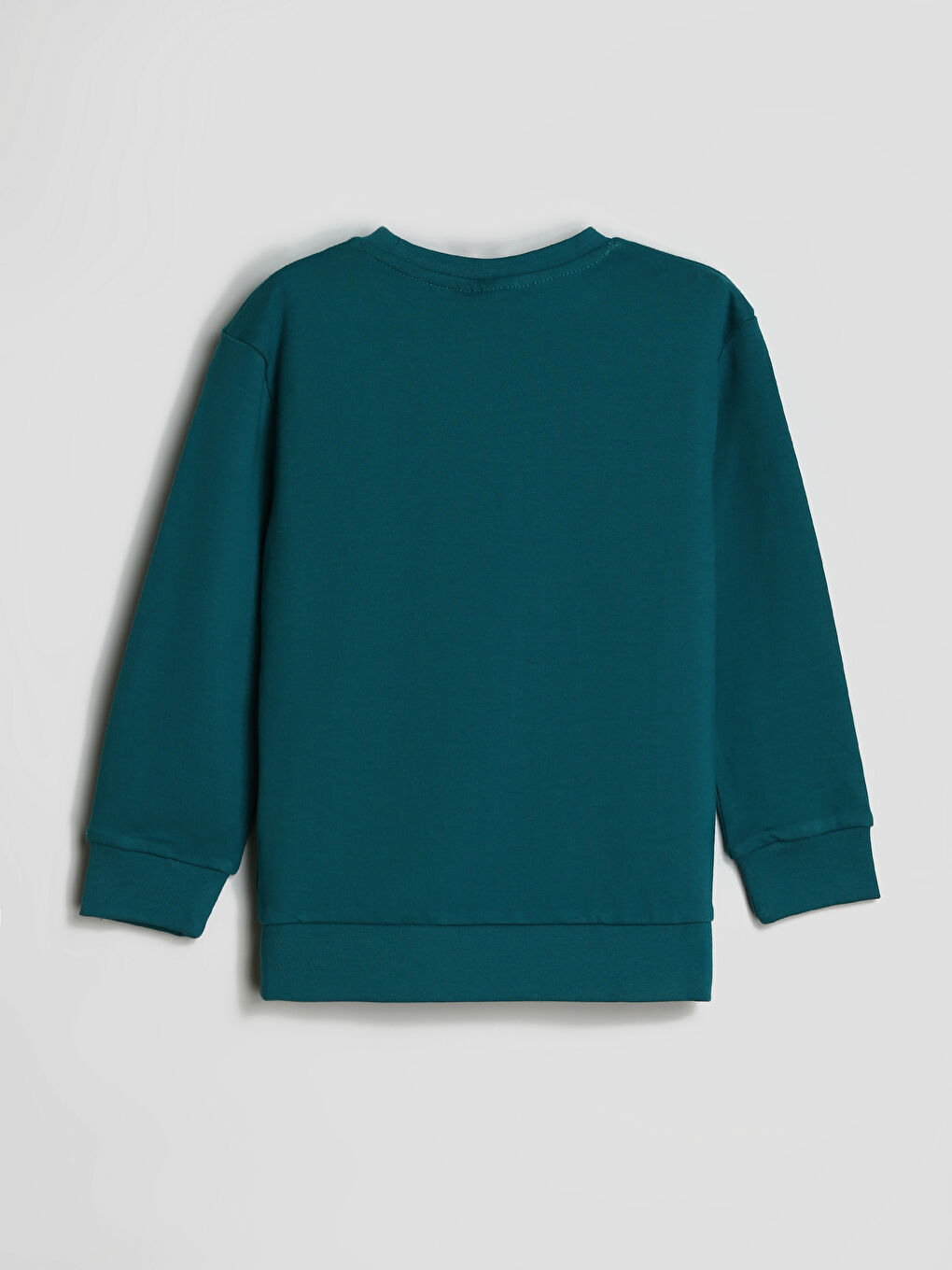 Crew Neck Printed Long Sleeve Boys' T-Shirt-1