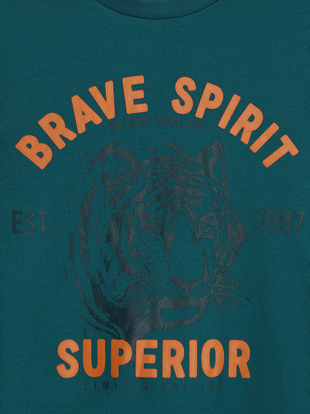 Crew Neck Printed Long Sleeve Boys' T-Shirt-2