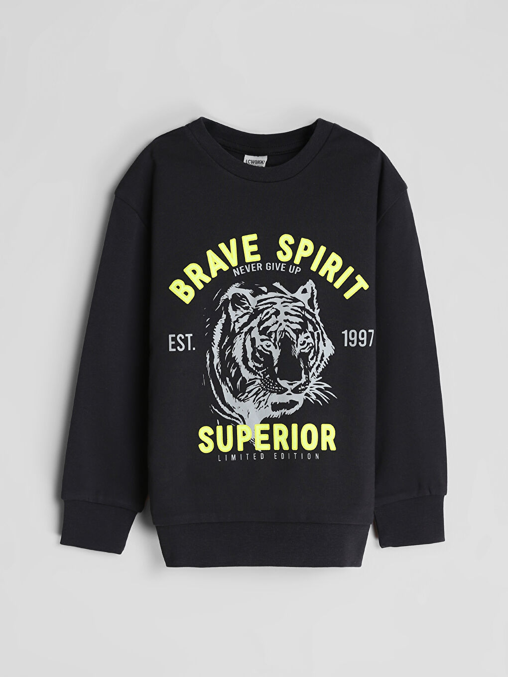 Crew Neck Printed Long Sleeve Boys' T-Shirt