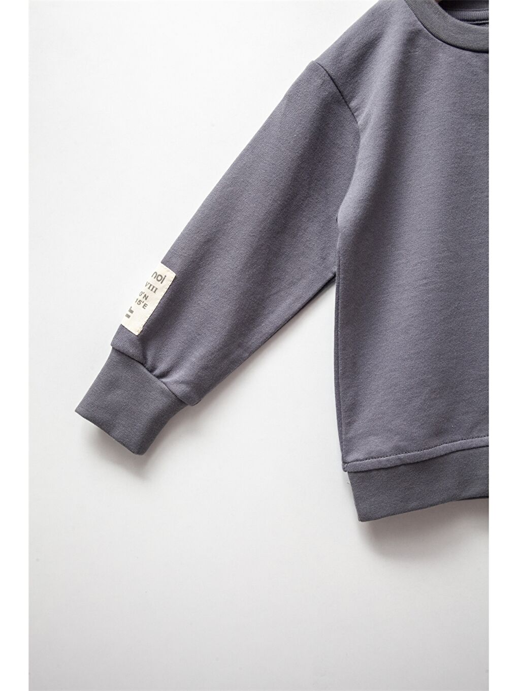 Antrasit Bisiklet Yaka Uzun Kollu Baskılı Erkek Bebek 2'li Takım-5