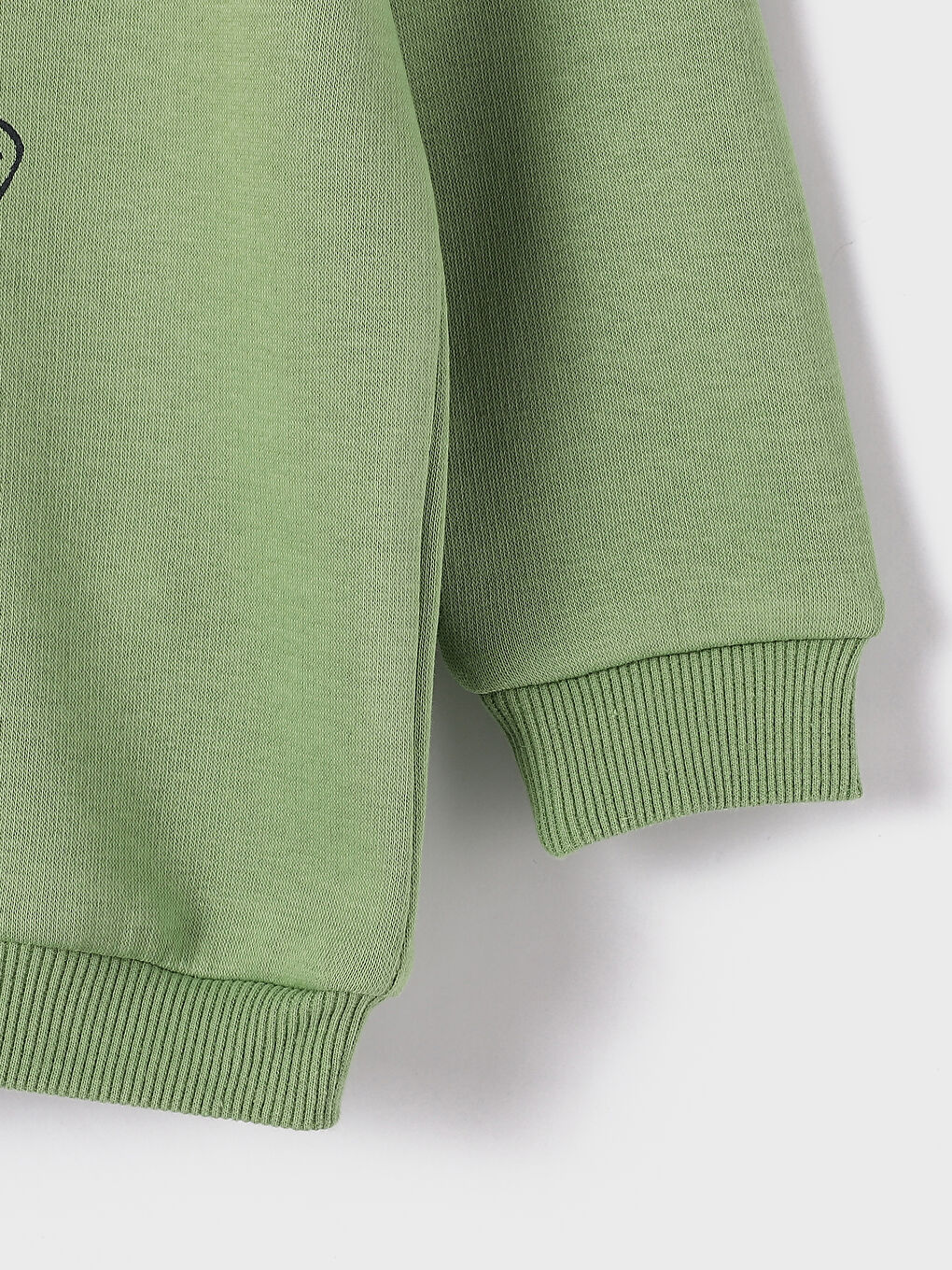 Crew Neck Printed Long Sleeve Baby Boys' Sweatshirt-2