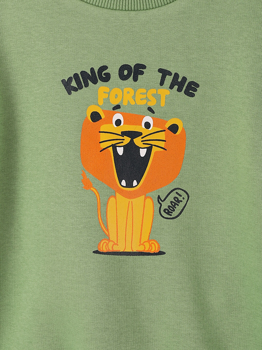 Crew Neck Printed Long Sleeve Baby Boys' Sweatshirt-3