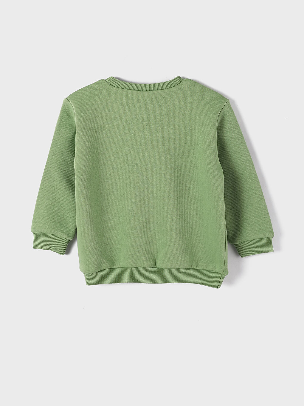 Crew Neck Printed Long Sleeve Baby Boys' Sweatshirt-1