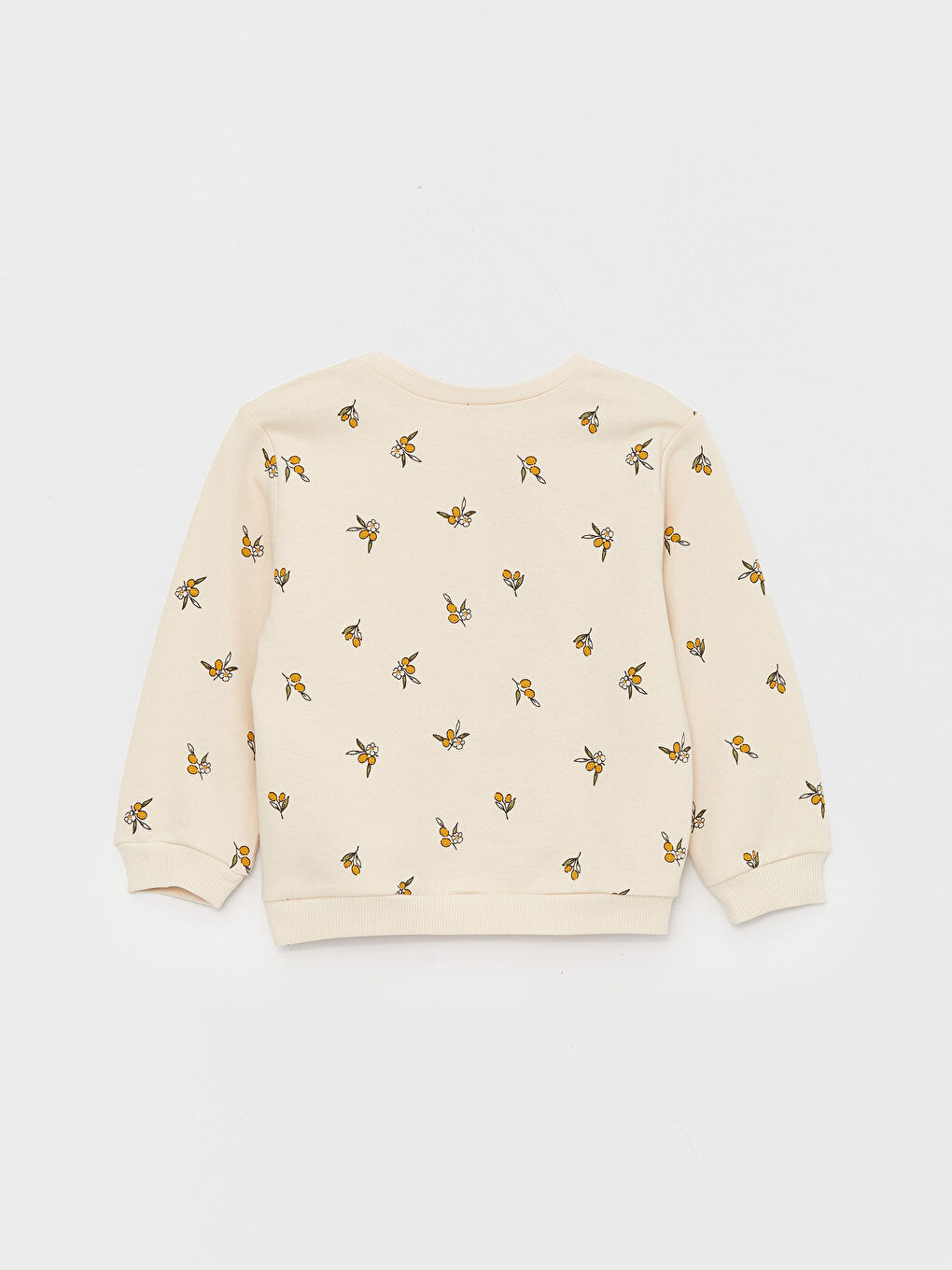 Flower Patterned Baby Girl Sweatshirt 2-pack-5