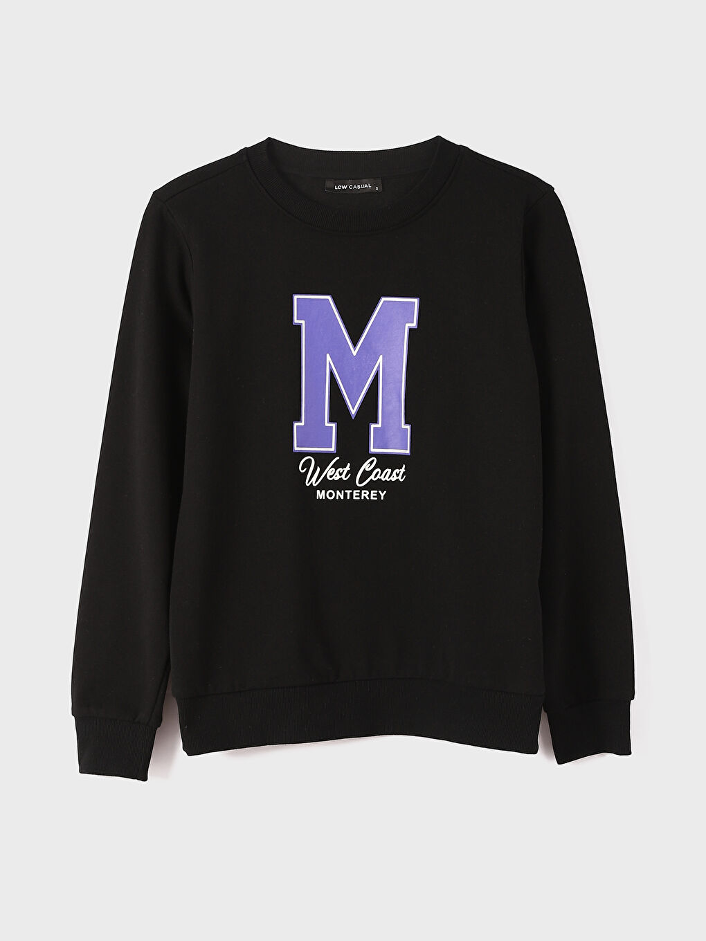 Crew Neck Printed Long Sleeve Oversize Women's Sweatshirt -W3HC49Z8-CVL