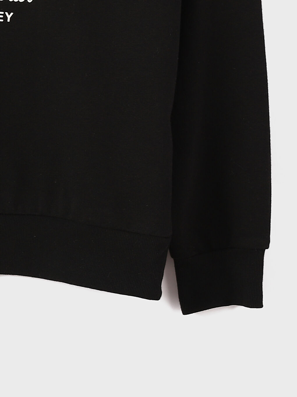 Crew Neck Printed Long Sleeve Oversize Women's Sweatshirt -W3HC49Z8-CVL