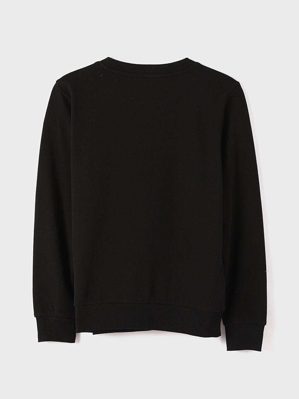 Crew Neck Printed Long Sleeve Oversize Women's Sweatshirt -W3HC49Z8-CVL