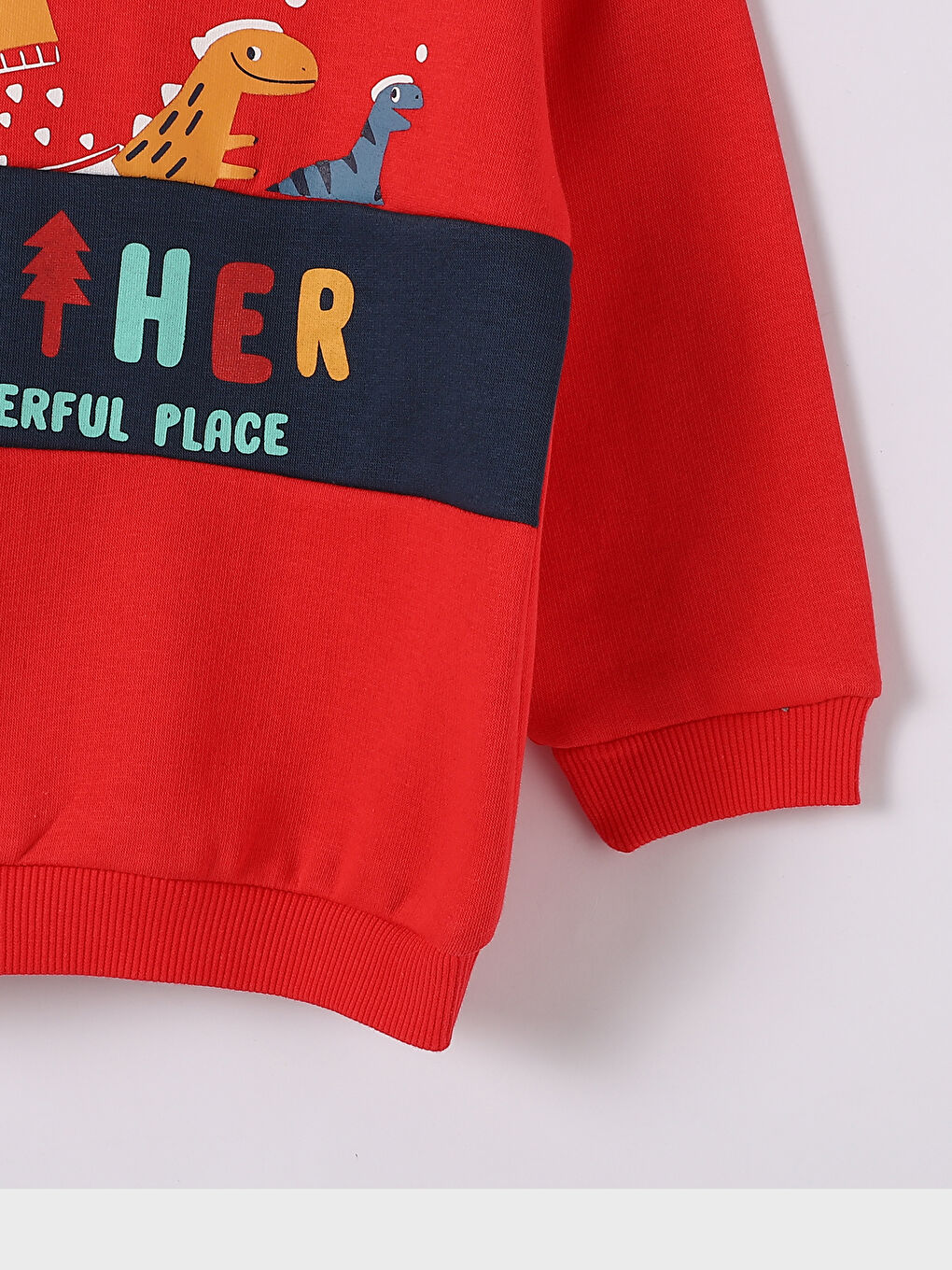 Crew Neck Printed Baby Boys' Sweatshirt and Tracksuit Bottom 2 Pack-6