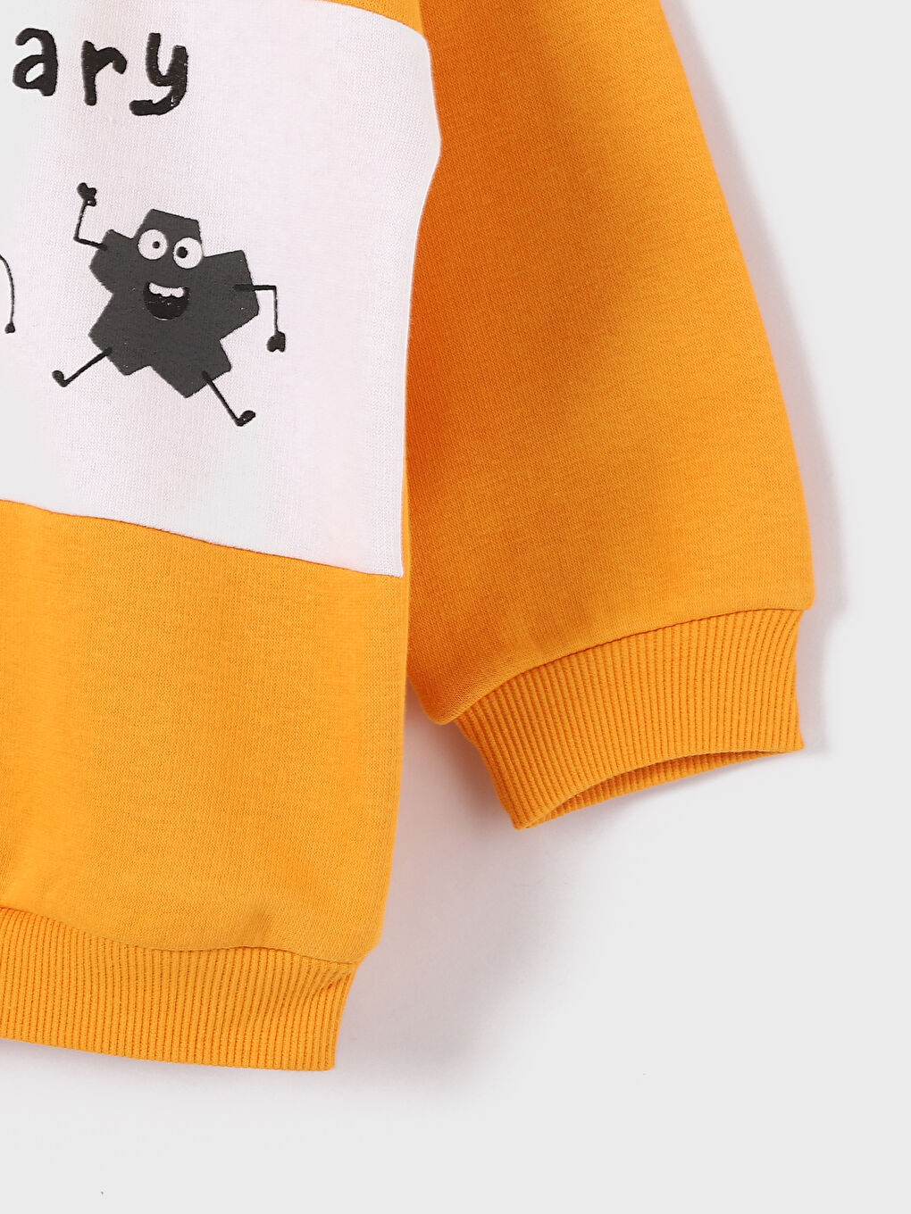 Crew Neck Printed Baby Boys' Sweatshirt and Tracksuit Bottom 2 Pack-4