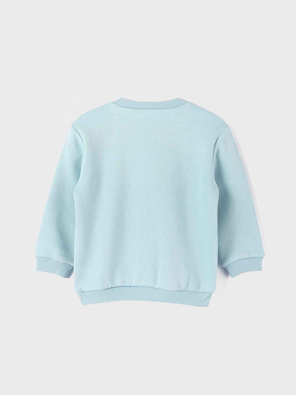 Crew Neck Printed Baby Boys' Sweatshirt and Tracksuit Bottom 2 Pack-2