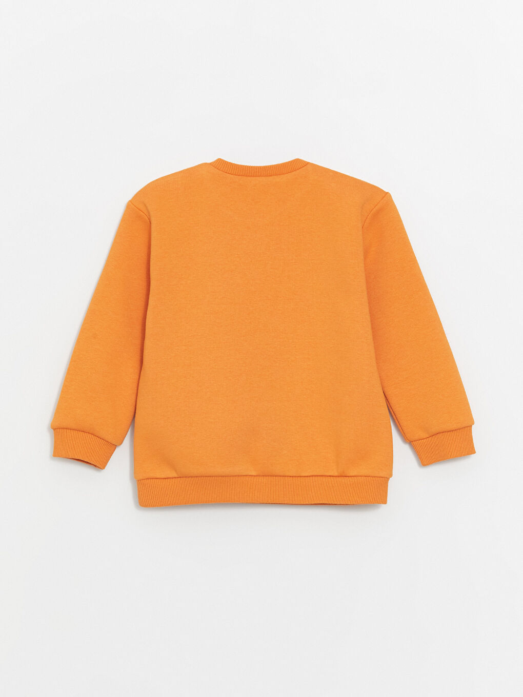 Crew Neck Long Sleeve Printed Baby Boy Sweatshirt 2-Pack-3