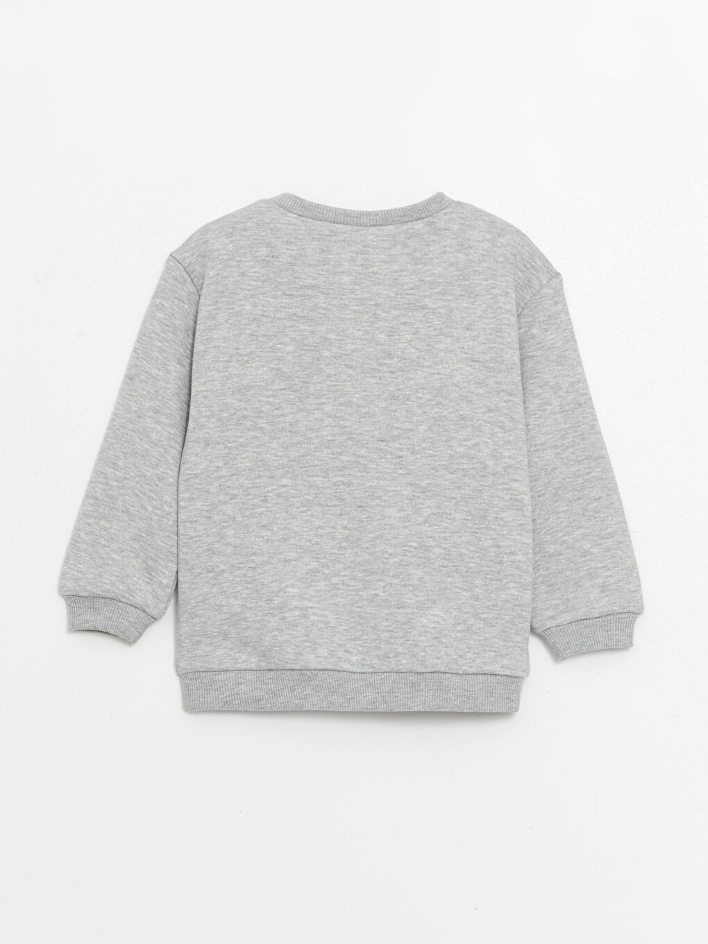 Crew Neck Long Sleeve Printed Baby Boy Sweatshirt 2-Pack-4