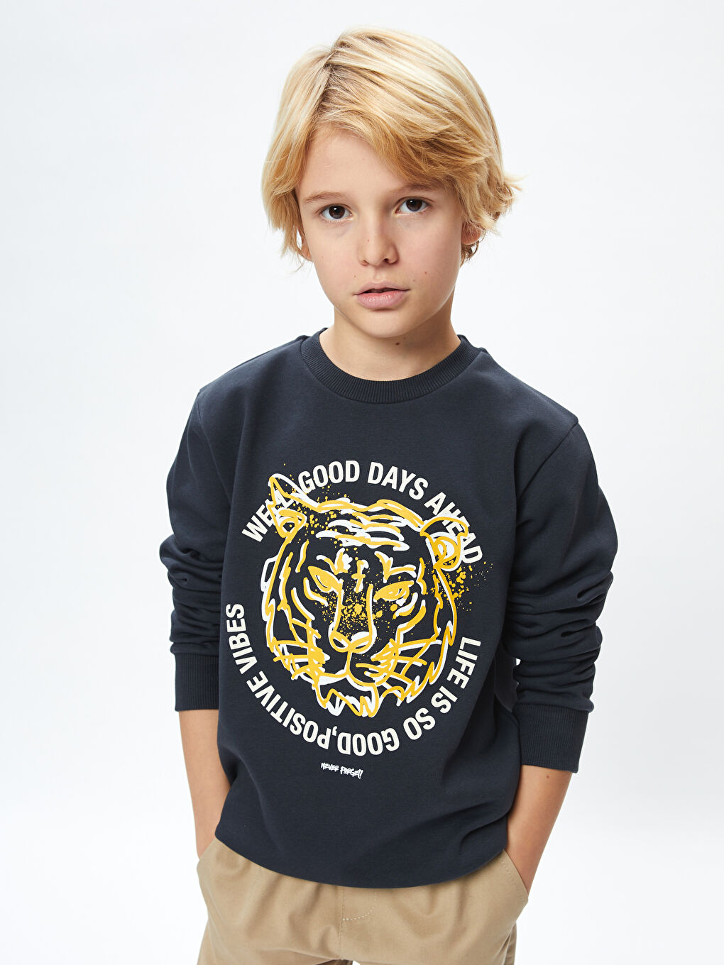 LCW Kids Antrasit Bisiklet Yaka Baskılı Uzun Kollu Erkek Çocuk Sweatshirt