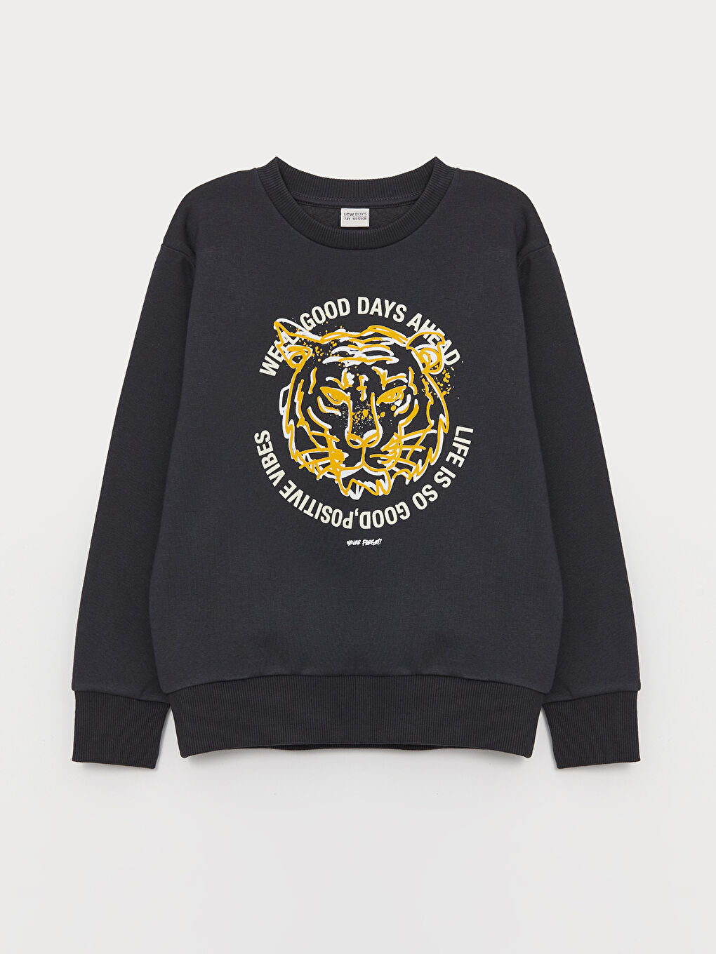 LCW Kids Antrasit Bisiklet Yaka Baskılı Uzun Kollu Erkek Çocuk Sweatshirt - 2