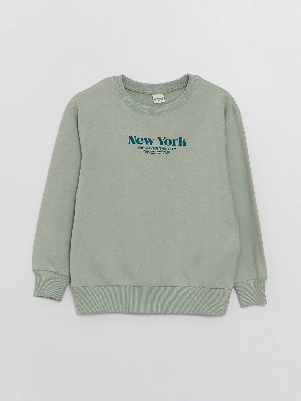 LCW Kids Pastel Yeşil Rahat Kalıp Bisiklet Yaka Baskılı Erkek Çocuk Sweatshirt