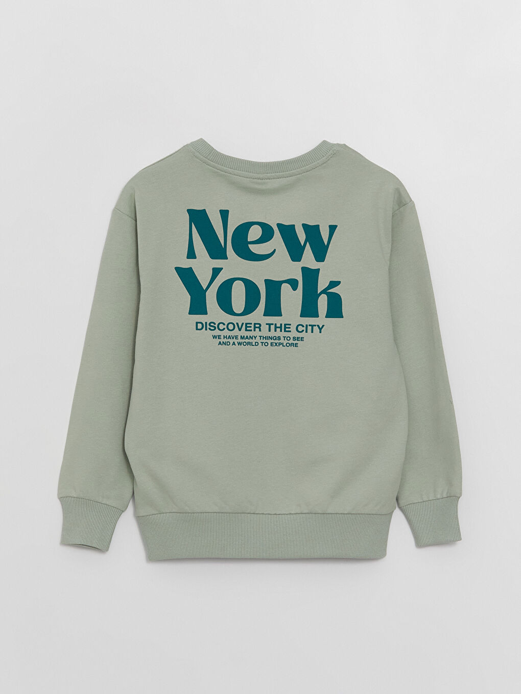 LCW Kids Pastel Yeşil Rahat Kalıp Bisiklet Yaka Baskılı Erkek Çocuk Sweatshirt - 2