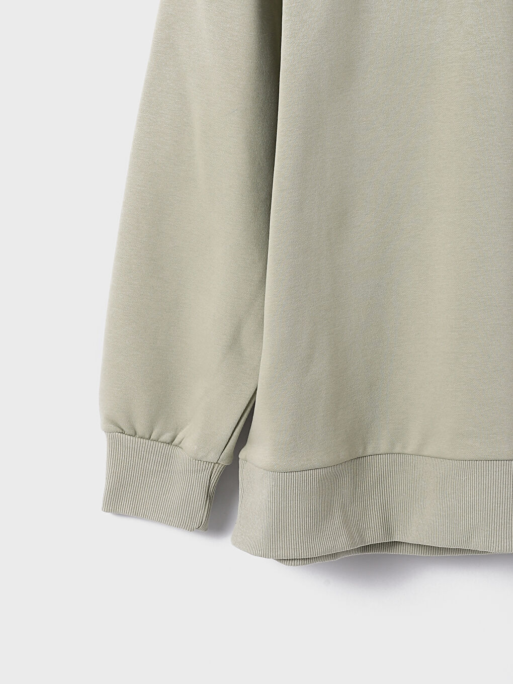 Hooded Plain Women's Thick Sweatshirt -W3I139Z8-GMG