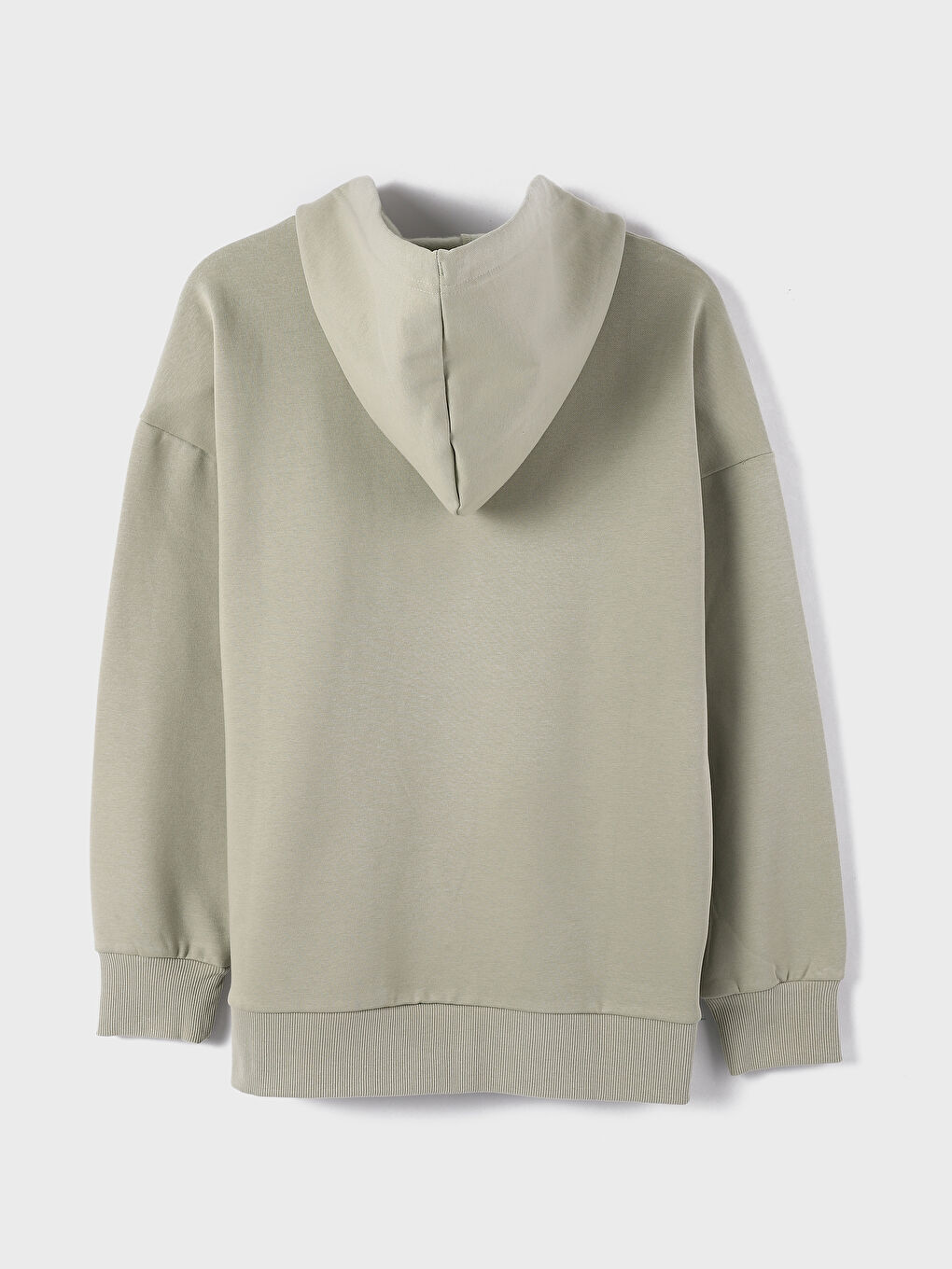 Hooded Plain Women's Thick Sweatshirt -W3I139Z8-GMG