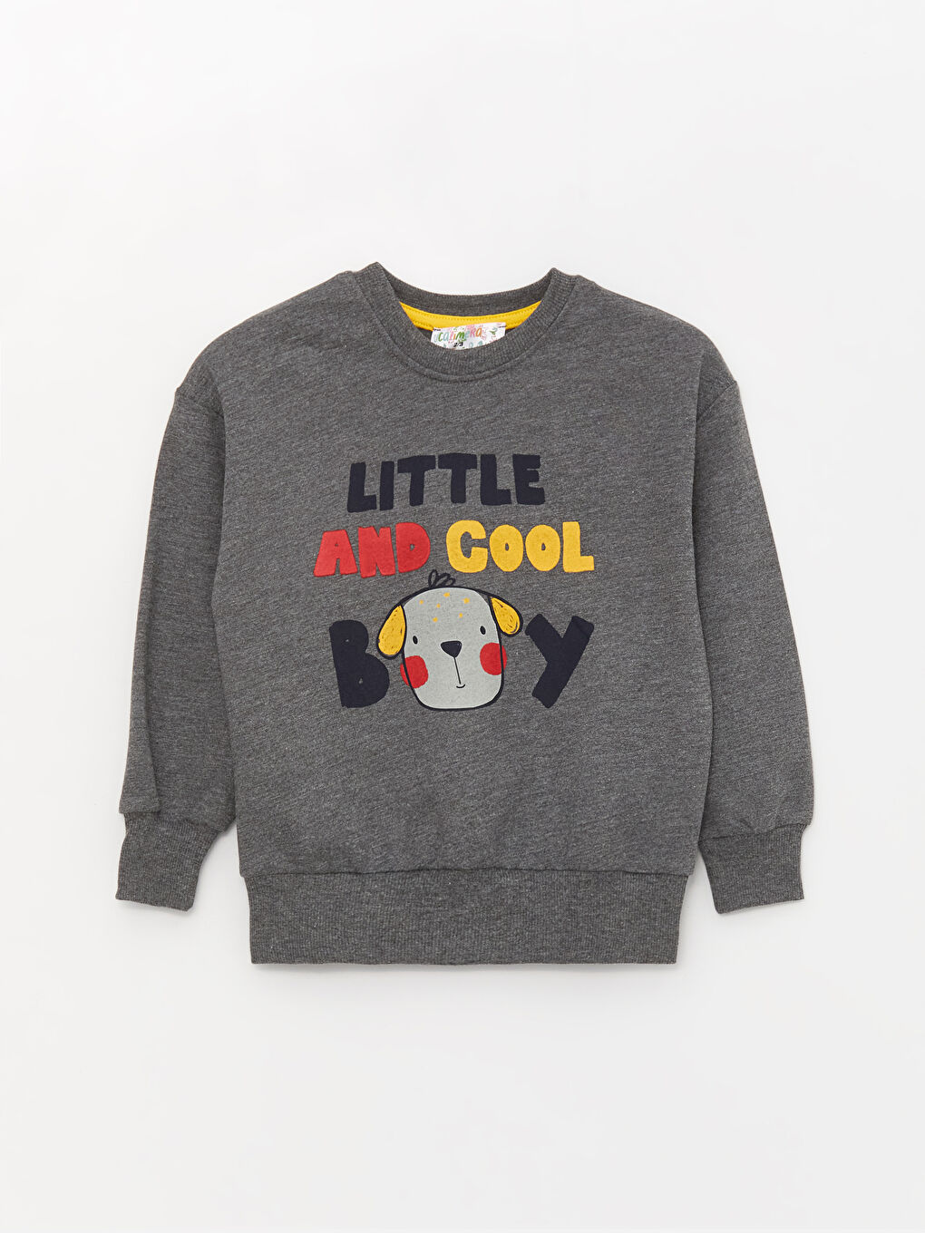 Calimera Kids Antrasit Bisiklet Yaka Uzun Kollu Erkek Bebek Sweatshirt