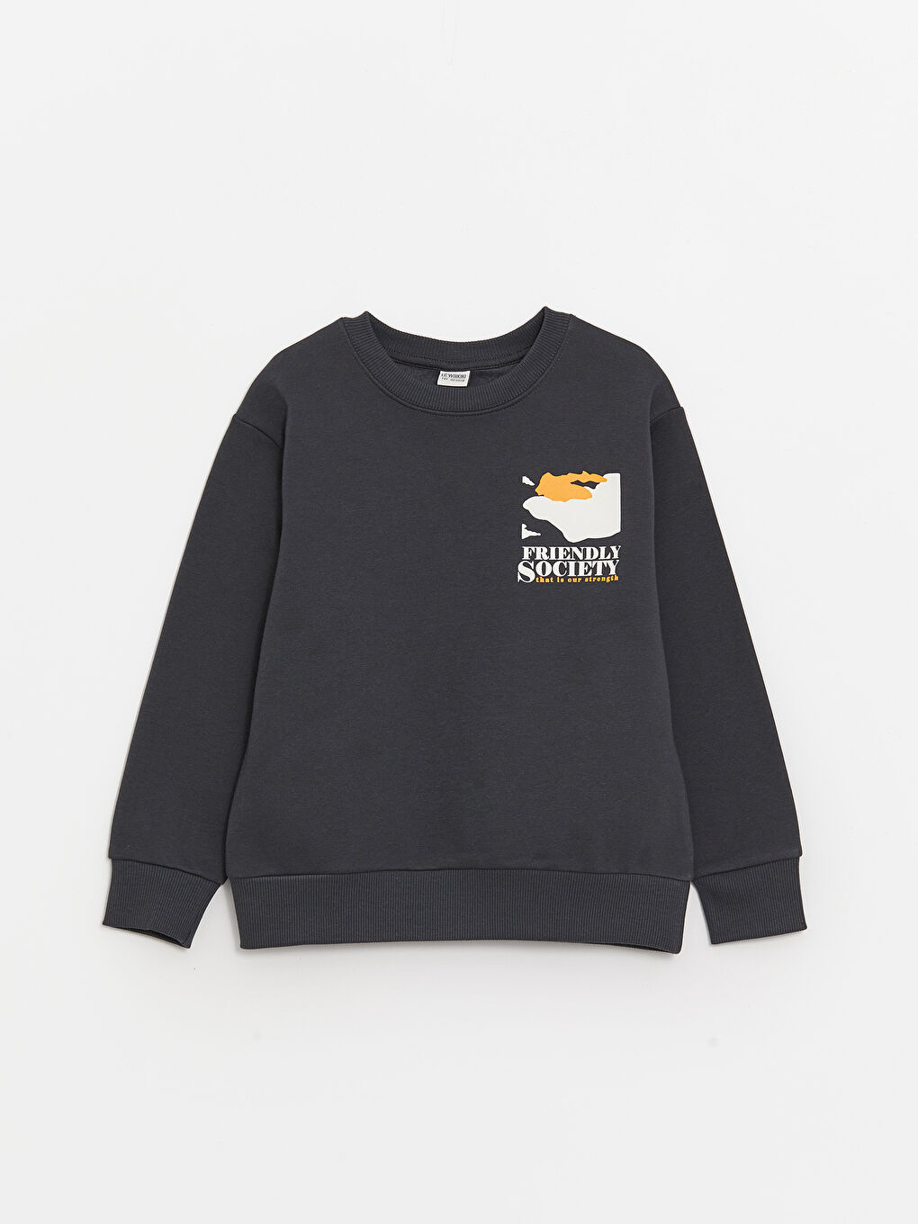 LCW Kids Antrasit Bisiklet Yaka Baskılı Uzun Kollu Erkek Çocuk Sweatshirt - 3