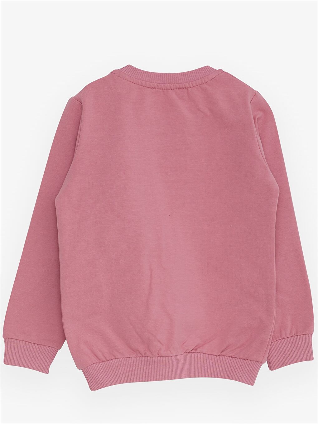 Breeze Pembe Bisiklet Yaka Uzun Kollu Baskılı Kız Bebek Sweatshirt - 1