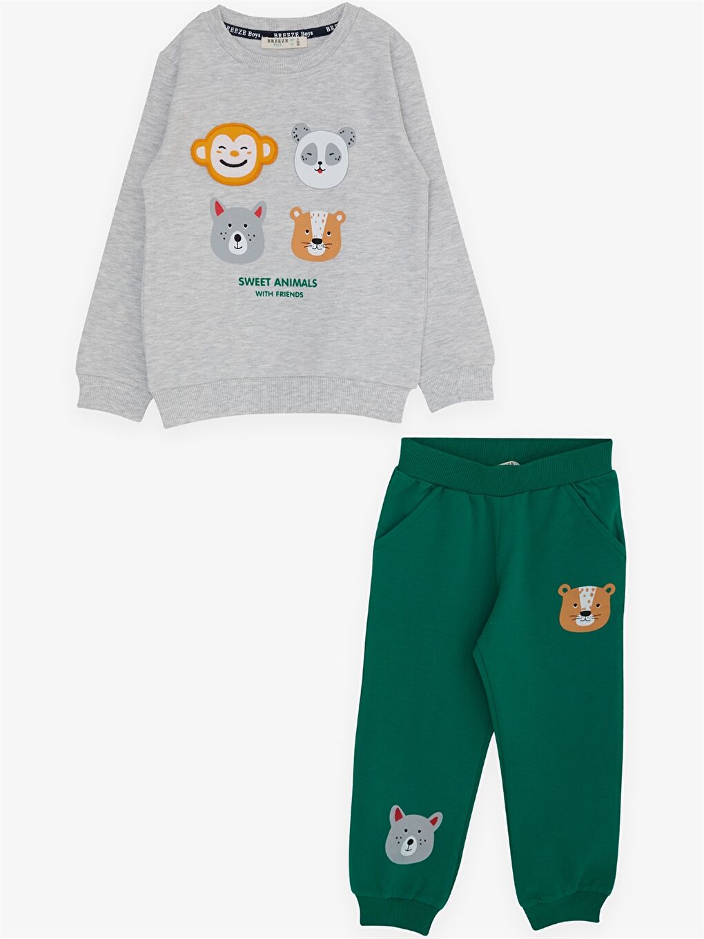 Gri Bisiklet Yaka Uzun Kollu Baskılı Erkek Bebek 2'li Takım