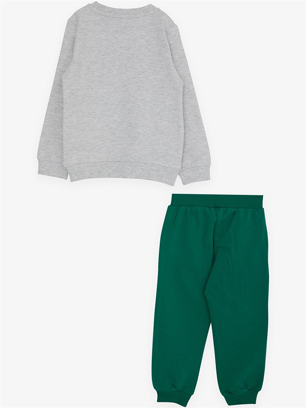 Gri Bisiklet Yaka Uzun Kollu Baskılı Erkek Bebek 2'li Takım-1