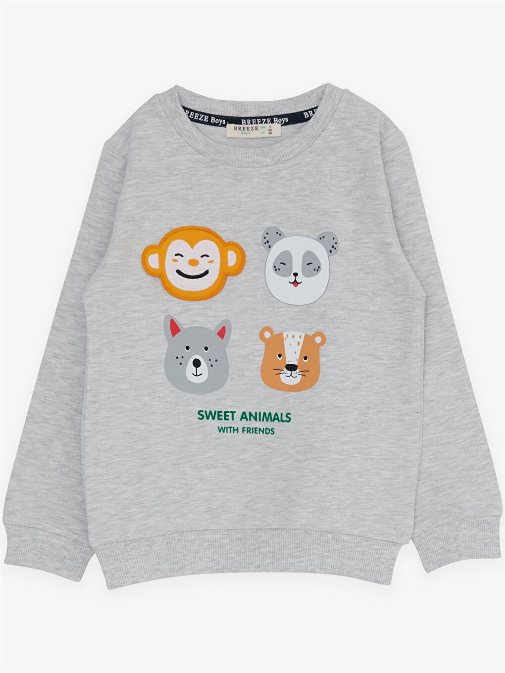 Gri Bisiklet Yaka Uzun Kollu Baskılı Erkek Bebek 2'li Takım-2